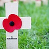 REMEMBRANCE DAY - November 11, 2023 - National Today