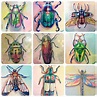 Collection of my insect paintings, acrylic on wood • /r/Art | Insect ...
