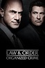 Law & Order: Organized Crime (season 3) – TVSBoy.com