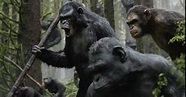 What Went on Behind the Scenes of ‘Dawn of the Planet of the Apes’? | PETA