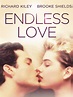 Watch Endless Love | Prime Video