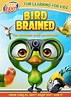 Bird Brained (2020) - IMDb