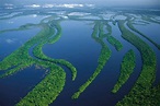 Rio Amazonas: historia, origen, características, profundidad, y mucho mas
