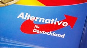 AfD-Bundesparteitag in Dresden: Radikal normal | tagesschau.de