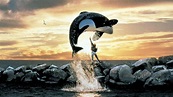 Free Willy - Un amico da salvare - Film (1993)