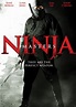 Ver Ninja Masters (2013) Online Español Latino en HD