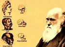 Darwinismo social - EcuRed