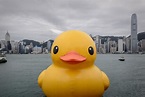 PHOTOS: Giant Rubber Duck Floats in Hong Kong Harbor | TIME.com