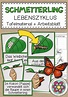Schmetterling: Sachunterricht & Biologie Grundschule ...