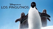 Ver Los pinguinos | Película completa | Disney+