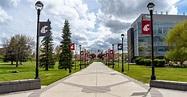 Faculty & Staff Resources | WSU Spokane | Washington State University