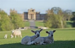 Ten things to do and discover this May Half Term at Blenheim Palace