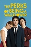 The Perks of Being a Wallflower (2012) - Posters — The Movie Database ...