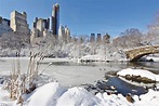 Free new york city winter snow central park - Image