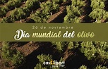 El 26 de noviembre se celebra el Día Mundial del Olivo - Aceites Albert