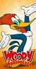 The Woody Woodpecker Show (TV Series 1999–2002) - IMDb