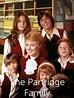 The Partridge Family - Where to Watch and Stream - TV Guide