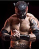Axel Perez Blog: Tigre Uno, el Luchador Mexico llega a Miami en una ...