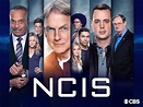 Der Cast von "Navy CIS" Staffel 16 | Ncis, Darsteller, Mark harmon