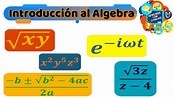 Introducción al Algebra - Conceptos básicos: Términos Algebraicos y ...