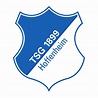 Logo TSG 1899 Hoffenheim PNG – Logo de Times
