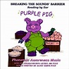 Amazon.com: Purple Pig : Jim Post: Digital Music