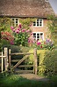 Un adorabile cottage inglese e il suo coloratissimo giardino colti dall ...