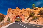 The 40 Most Scenic Drives in America | Reader's Digest