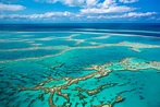 The Largest Coral Reefs in the World