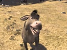 Shrek Characters Donkey