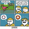 The best Flamingo memes :) Memedroid