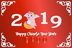 Happy Chinese New Year 2019 | Animal Illustrations ~ Creative Market