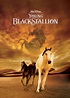 The Young Black Stallion | Disney Movies