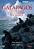 Explore the Galápagos Islands—from Home! - Angie Hockman