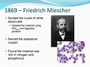 PPT - The History of DNA Structure Discovery PowerPoint Presentation ...
