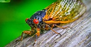 10 Facts About Arthropods