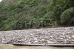 Alarmante incremento de contaminación del río Huallaga - DIARIO AHORA