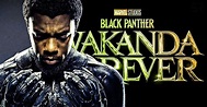 Black Panther: Wakanda Forever Movie 2022: release date, cast, story ...