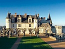 Excursion in the castle of Amboise, visit the castle and take a stroll ...