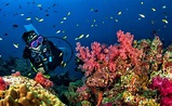 Egypt’s Red Sea Named Third Best Diving Destination in the World in ...