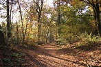 Pfadfinderlagerplatz Birkenheide in Ganderkesee