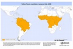 Yellow Fever Map