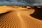Desierto | ¿Cómo se forma un desierto? Explicación y Características