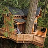 34 Stunning Tree House Designs You Never Seen Before - MAGZHOUSE