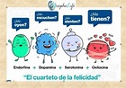 Ingredientes de la Fórmula de la Felicidad - GraphoLife®