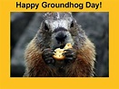 2nd Feb 2016 Happy Groundhog Day Quotes Images Wishes Whatsapp Status ...