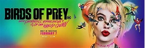 NEWS: Official Birds Of Prey Banner! : r/DC_Cinematic