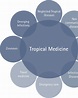 Broadening and deepening of Tropical Medicine anno 2017 (adapted from ...