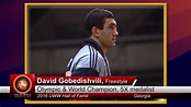 David Gobedishvili - YouTube