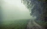 Foggy field HD Wallpaper | Background Image | 2560x1600 | ID:660728 ...